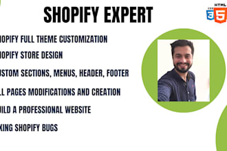 design professional ,modern shopify store, custom template
