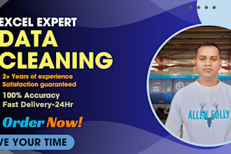 clean and format your excel data professionally