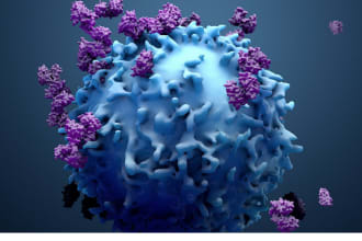 be your expert biology, physics and chemistry tutor and help in assignments