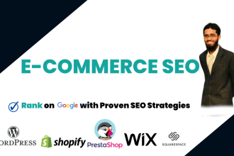do complete SEO of shopify ecommerce store or wordpress
