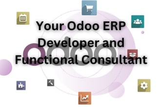 be your odoo erp developer and functional consultant