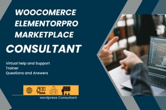 be your elementor pro, woocomerce and marketplace website tutor, consultant