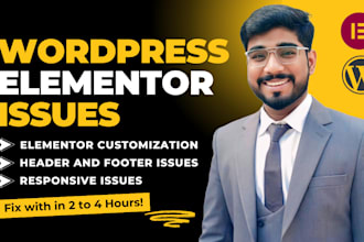 fix wordpress elementor errors, responsive issues in 12 hours