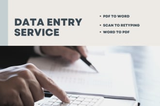 do data entry convert pdf to excel copy paste data typing