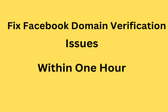 fix domain verification issues on meta business suite