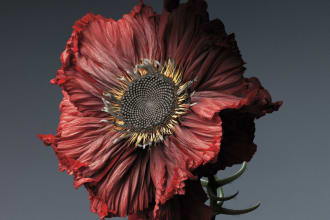 do 3d flower plant modeling texturing animation rendering, 3d plant modeling