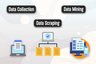 do excel data entry, data collection, web scraping, data mining