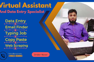 do errorless data entry, web research, typing and copy paste