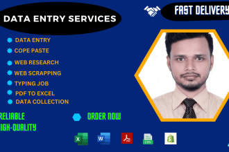 do top notch fast and reliable data entry, copy paste and excel data entry