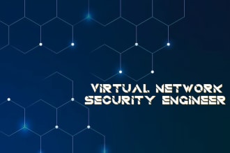 be your virtual network engineer I will resolve and tshoot any network problems