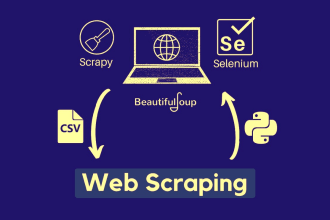do web scraping, data mining any website using python