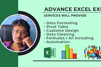 do advance excel expert, spreadsheet, macros, automation