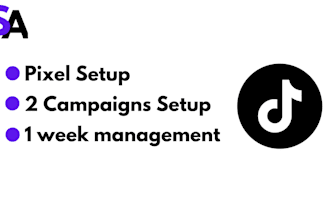 setup tiktok ads, tiktok campaign and pixel