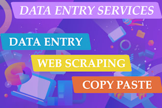 do excel data entry, typing, copy paste