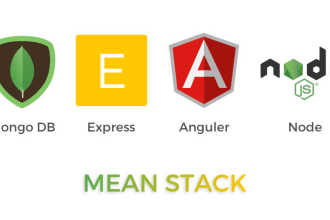 be your angular or mean developer