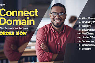 connect shopify domain , install premium theme, and website redesign expert