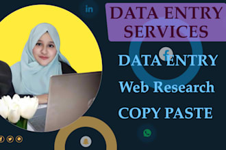 effortlessly handle data entry, excel, typing,copy paste job