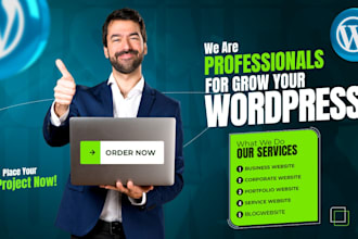 provide premium wordpress website development service