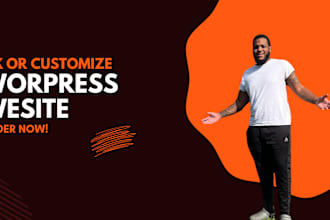 fix and customize wordpress website