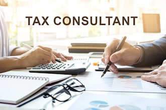 expert USA tax consultant  form 1040, 1099, w2 preparation