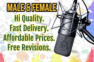 do urdu, english and punjabi professional voice over