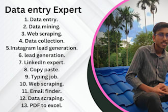 do flawless data entry, linkedin expert,copy paste,