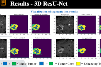 do medical image processing brain tumor segmentation 3d