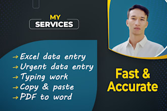do excel data entry, urgent data entry, and typewriting