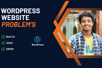 fix wordpress error, bug fixing and wordpress issues