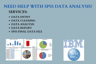 do spss data analysis