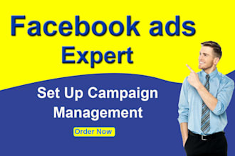 setup optimize facebook ads campaign in ads manager