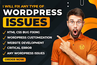 do wordpress fix wordpress issues wordpress bug fix wordpress error