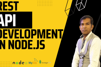 be your node js developer developing api and backend