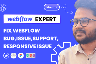 be your webflow expert to fix webflow bug,webflow support
