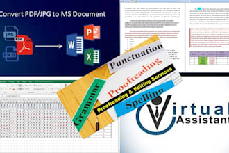 do accurate data entry, fast typing, scan to word excel, copy paste