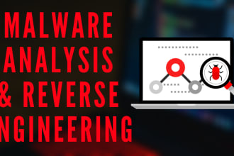 do malware analysis, reverse engineering with detailed report