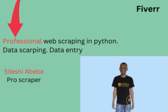 do web scraping, python scripts, data scraping extraction