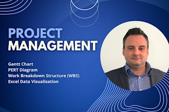 create gantt charts and diagrams in ms project and excel