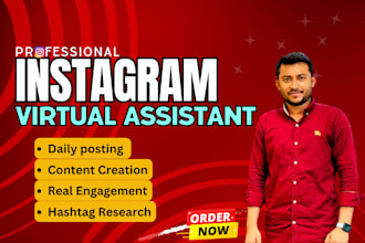 be your virtual assistant for instagram