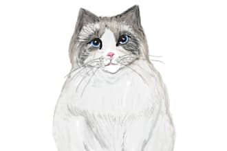do digital art design or drawing for pet photo customize
