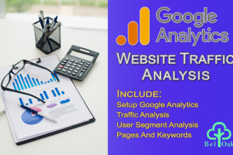 do google analytics for website traffic analysis