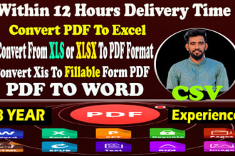 do convert PDF to excel ,word,csv,xls,xlsx data entry in 12