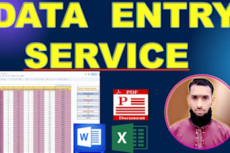 do fast excel data entry, data collection, PDF convert, and typing job