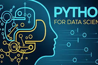 provide data science and data engineering services python