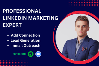 be your b2b sales and linkedin marketing manager