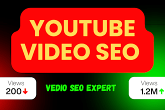 be your best youtube vedio SEO expert for organic ranking