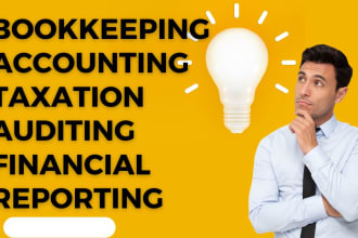 prepare financial statements, book keeping, audit and taxation