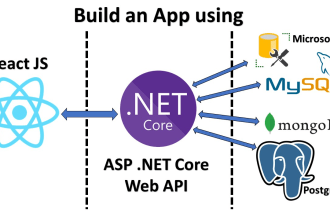 do full stack development using angular asp dot net core mvc reactjs