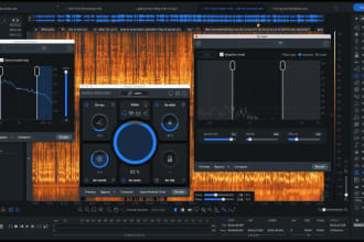 fix your audio and make it sound as good as possible