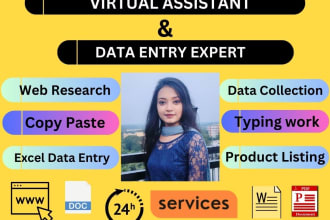be your virtual assistant for data entry, web research, typing and copy paste